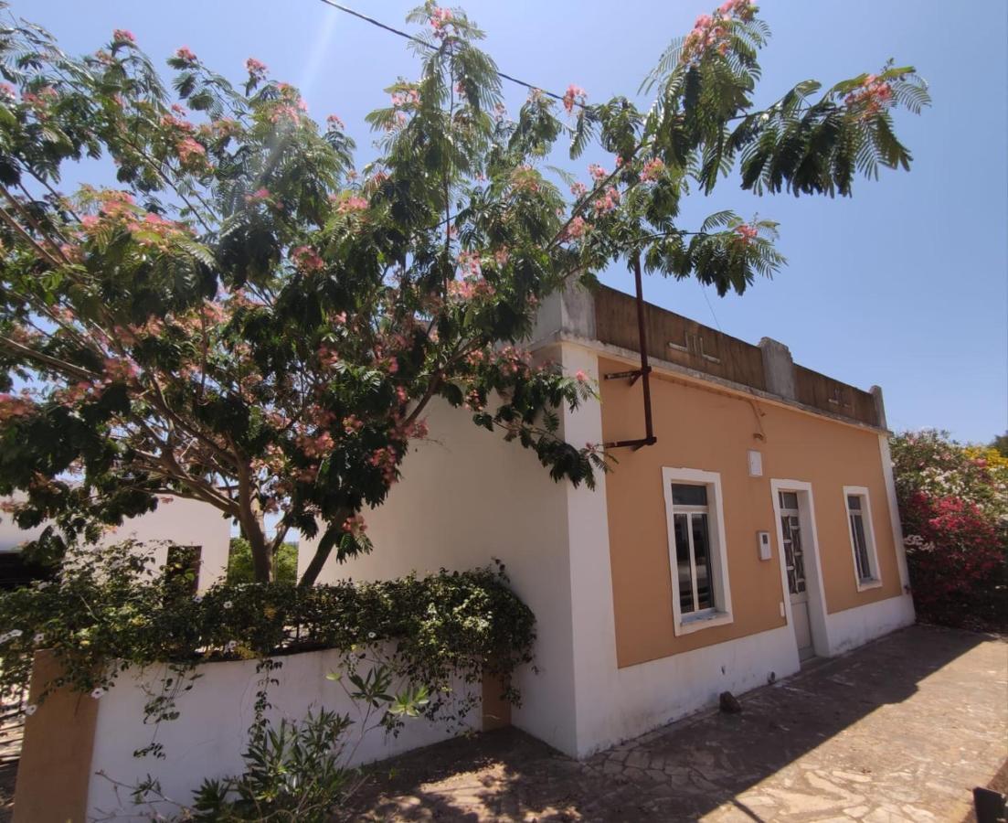 Traditional Rural House - Algarve